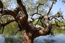 Триптих «Пекин – Лицзян – Чэнду»