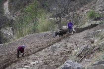 Триптих «Пекин – Лицзян – Чэнду»