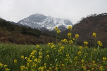 Триптих «Пекин – Лицзян – Чэнду»