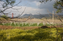 Триптих «Пекин – Лицзян – Чэнду»