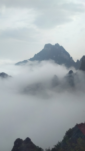 Дневник путешественника Китай 2018 (Shanghai-Zhangjiajie-Furong-Fenghuang-Wulingyuan-Zhangjiajie National Forest Park-Hangzhou-Shanghai)