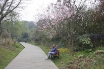 Триптих «Пекин – Лицзян – Чэнду»