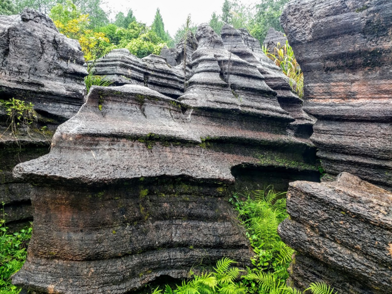 Дневник путешественника Китай 2018 (Shanghai-Zhangjiajie-Furong-Fenghuang-Wulingyuan-Zhangjiajie National Forest Park-Hangzhou-Shanghai)