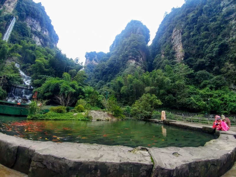 Дневник путешественника Китай 2018 (Shanghai-Zhangjiajie-Furong-Fenghuang-Wulingyuan-Zhangjiajie National Forest Park-Hangzhou-Shanghai)