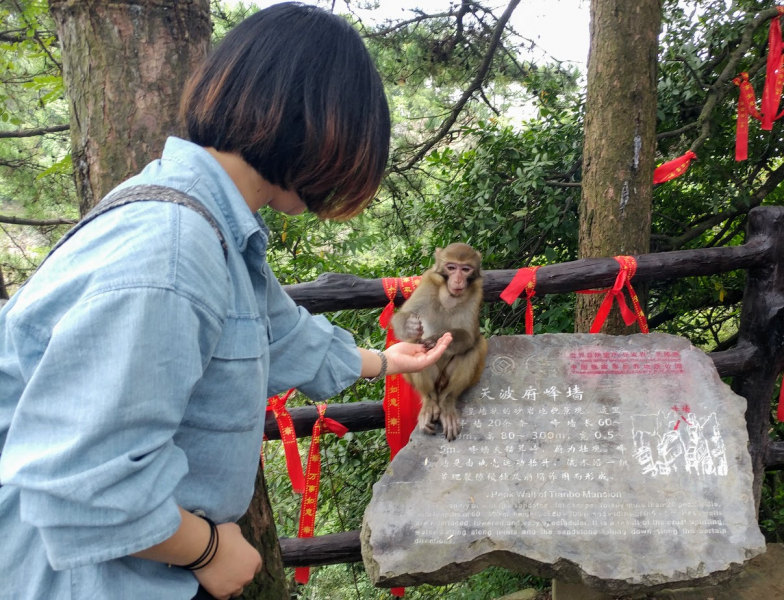 Дневник путешественника Китай 2018 (Shanghai-Zhangjiajie-Furong-Fenghuang-Wulingyuan-Zhangjiajie National Forest Park-Hangzhou-Shanghai)