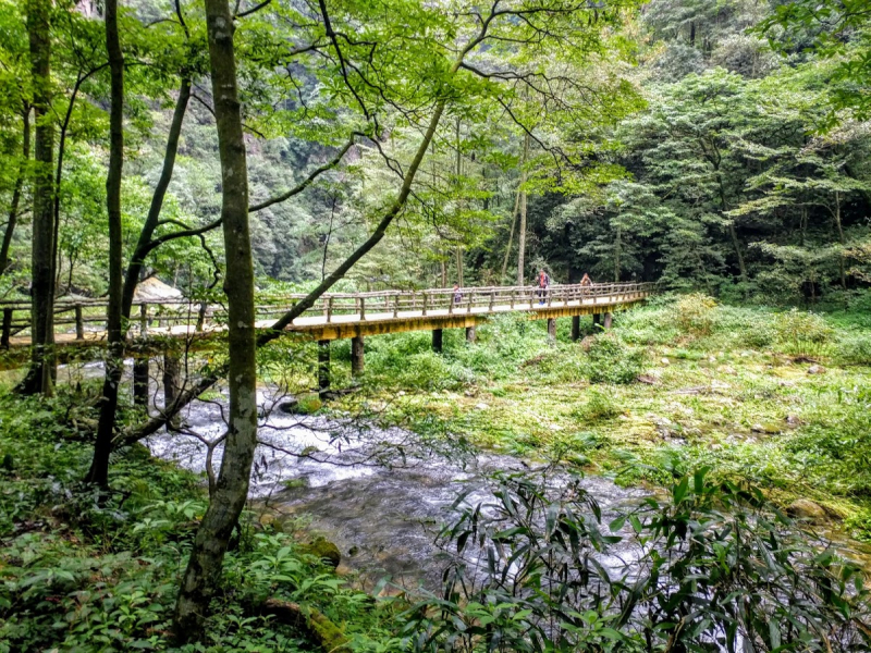 Дневник путешественника Китай 2018 (Shanghai-Zhangjiajie-Furong-Fenghuang-Wulingyuan-Zhangjiajie National Forest Park-Hangzhou-Shanghai)