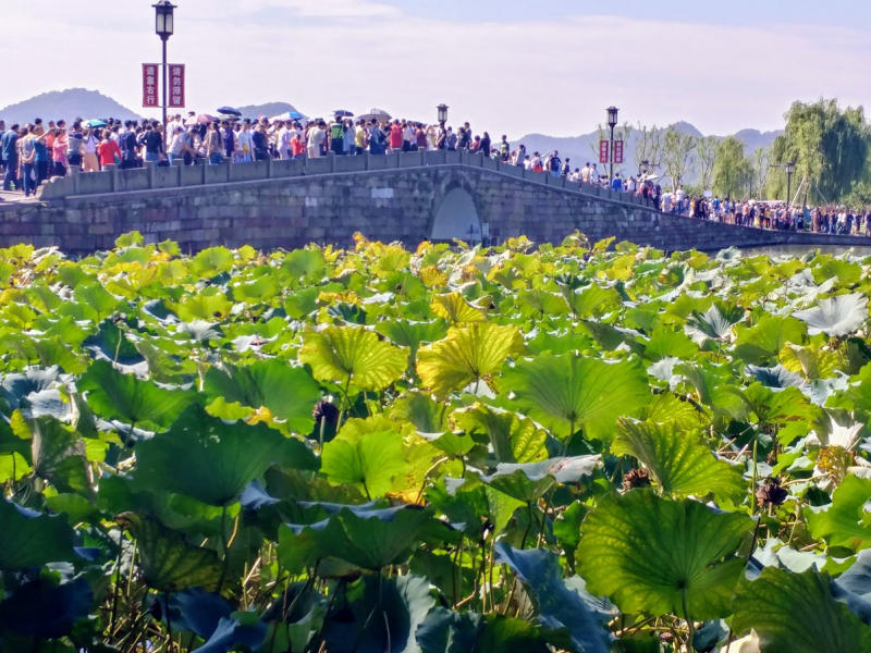 Дневник путешественника Китай 2018 (Shanghai-Zhangjiajie-Furong-Fenghuang-Wulingyuan-Zhangjiajie National Forest Park-Hangzhou-Shanghai)