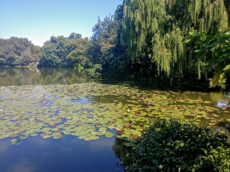 Дневник путешественника Китай 2018 (Shanghai-Zhangjiajie-Furong-Fenghuang-Wulingyuan-Zhangjiajie National Forest Park-Hangzhou-Shanghai)