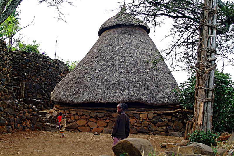 Эфиопия ( Аддис Абеба, долина Омо, Харар )  за 7 дней.Июль 2019.