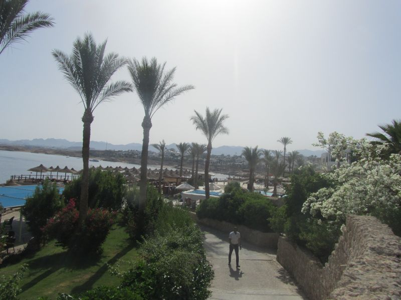 Плохой отель Sharm Plaza 5*. Чуть Каира и Александрии.( май 2019) Плохой отель Sharm Plaza 5*. Чуть Каира и Александрии.( май 2019)