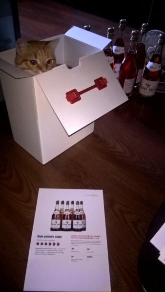 Кошки в нашей жизни. Кошки и все, что с ними связано.