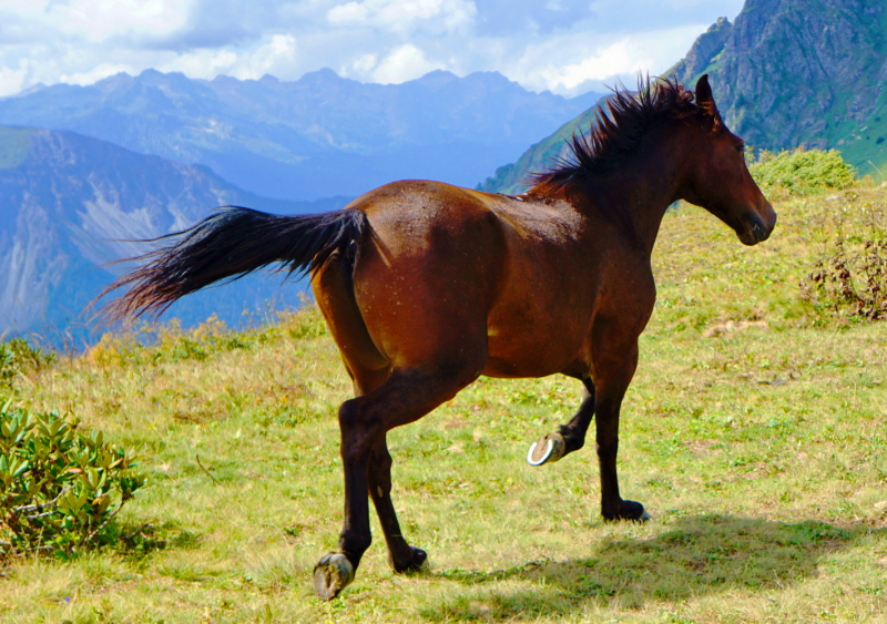 Куда еще в Абхазии можно проехать на неполноприводном автомобиле (обновления от сентября 2019 года).
