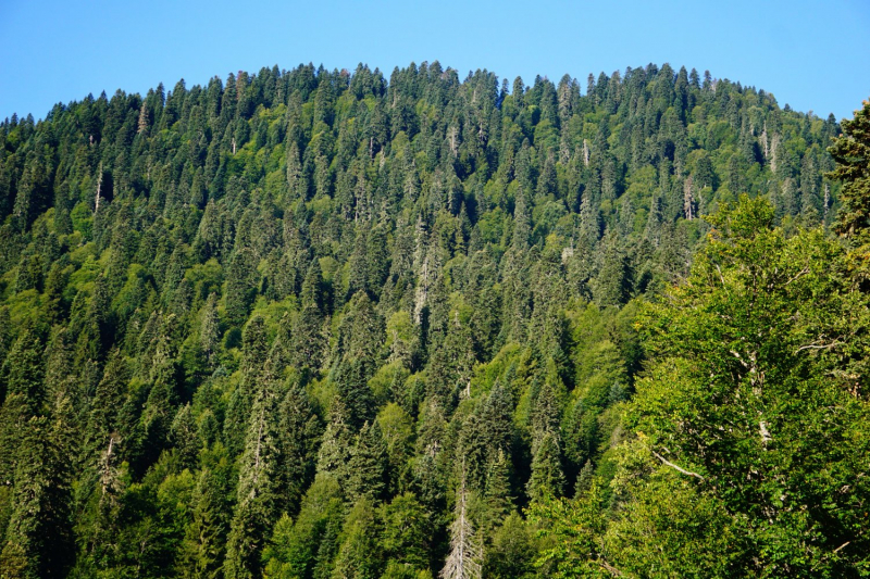 Куда еще в Абхазии можно проехать на неполноприводном автомобиле (обновления от сентября 2019 года).