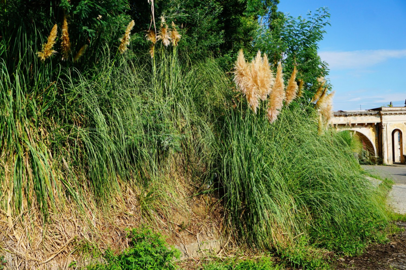 Куда еще в Абхазии можно проехать на неполноприводном автомобиле (обновления от сентября 2019 года).