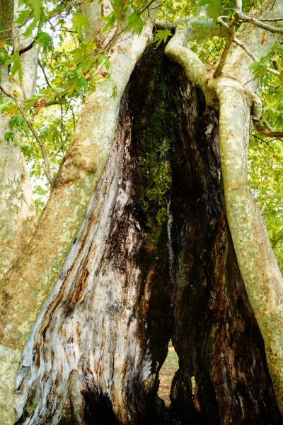 Куда еще в Абхазии можно проехать на неполноприводном автомобиле (обновления от сентября 2019 года).