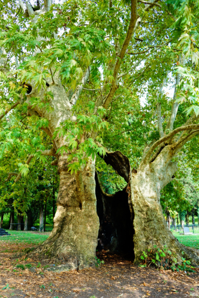 Куда еще в Абхазии можно проехать на неполноприводном автомобиле (обновления от сентября 2019 года).