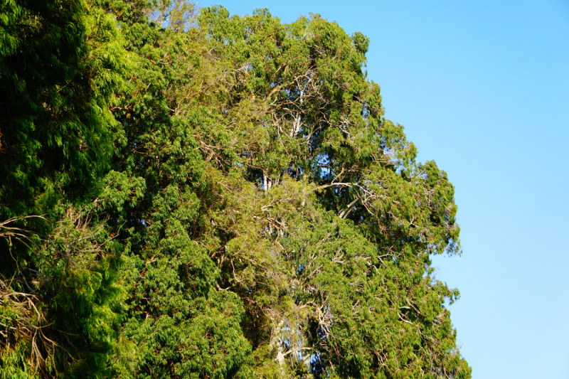 Куда еще в Абхазии можно проехать на неполноприводном автомобиле (обновления от сентября 2019 года).