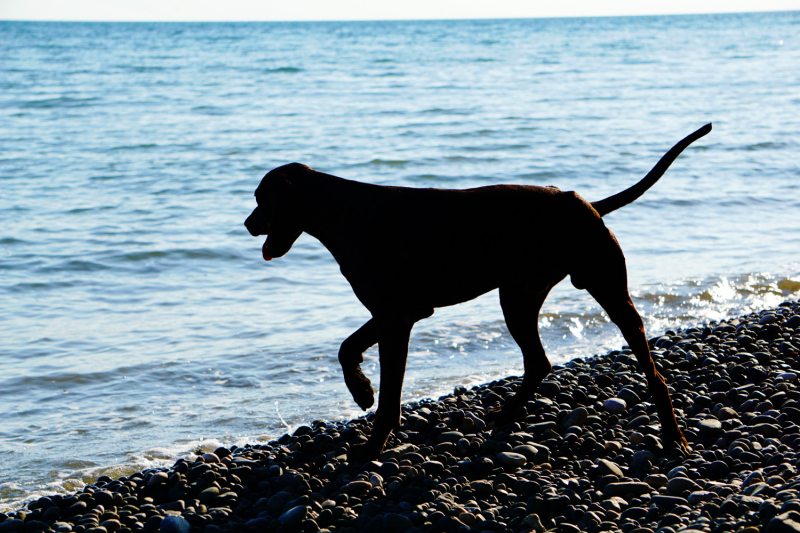 Куда еще в Абхазии можно проехать на неполноприводном автомобиле (обновления от сентября 2019 года).