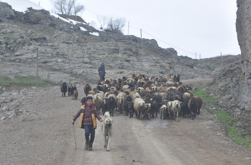 Tunçkayа
