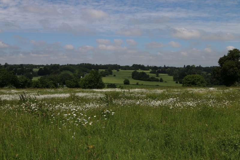 Один день по Via Francigena: Canterbury-Dover