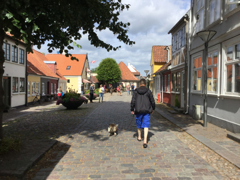 Мистер Чукен’с холлидей