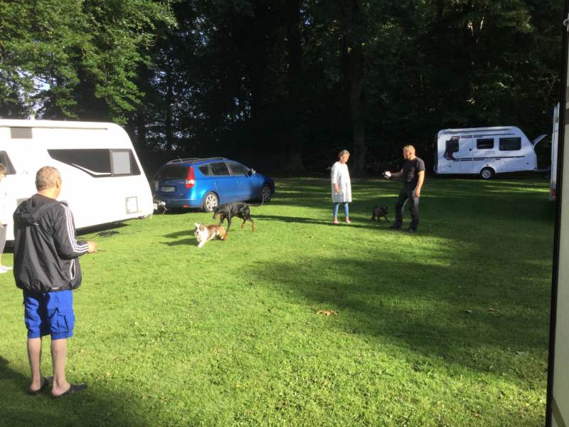 Мистер Чукен’с холлидей