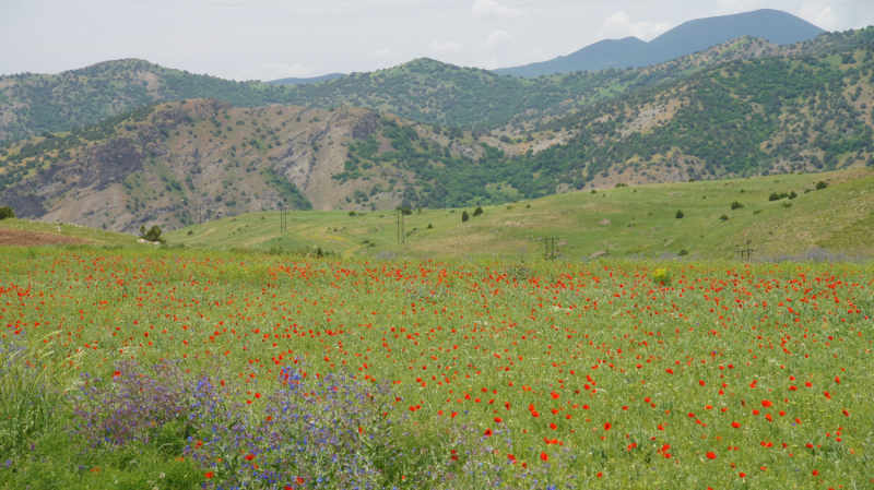 Путешествие по Армении.