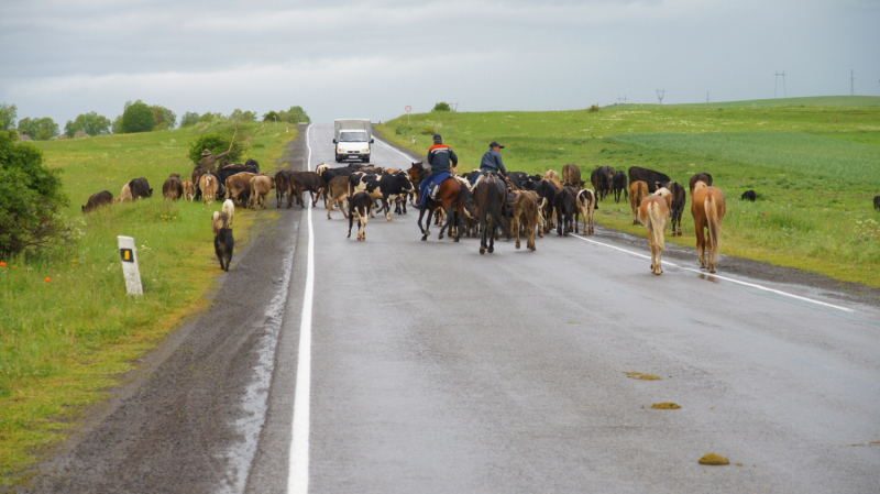 Путешествие по Армении.