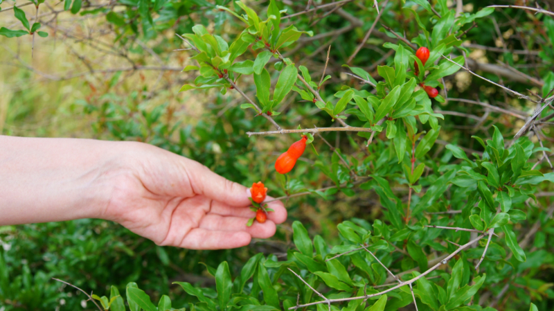 Путешествие по Армении.