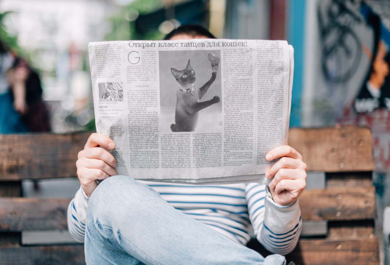 Кошки в нашей жизни. Кошки и все, что с ними связано.