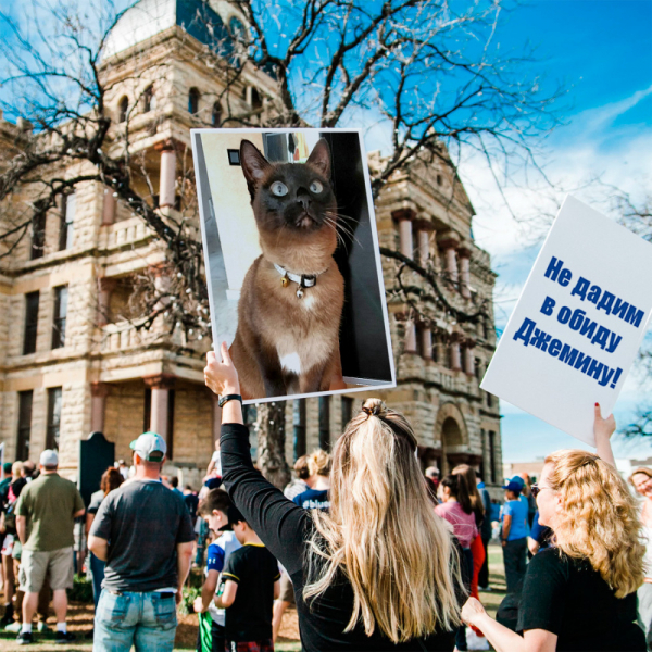 Кошки в нашей жизни. Кошки и все, что с ними связано.