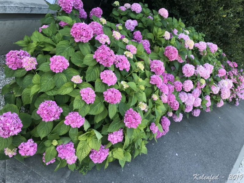 «Что-то пошло не так» – автотрип по Европе-2019, вопреки обстоятельствам.