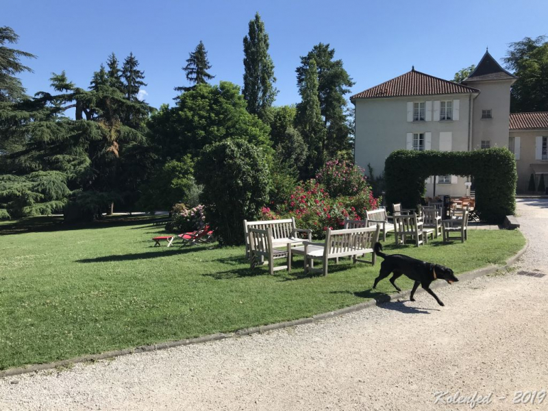 «Что-то пошло не так» – автотрип по Европе-2019, вопреки обстоятельствам.