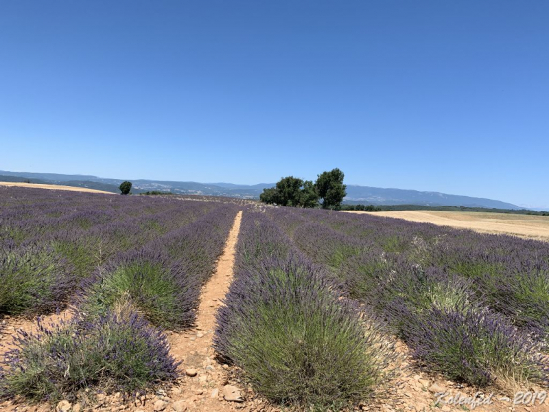 «Что-то пошло не так» – автотрип по Европе-2019, вопреки обстоятельствам.