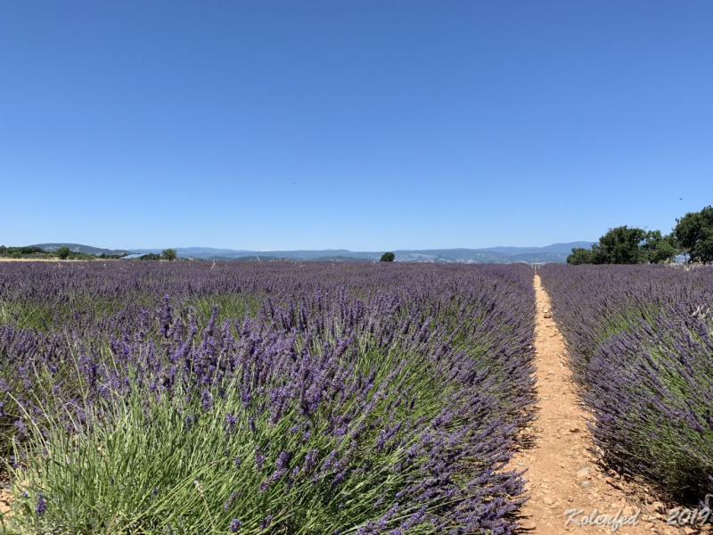 «Что-то пошло не так» – автотрип по Европе-2019, вопреки обстоятельствам.