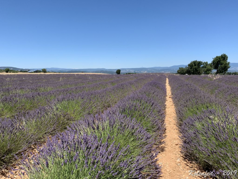 «Что-то пошло не так» – автотрип по Европе-2019, вопреки обстоятельствам.