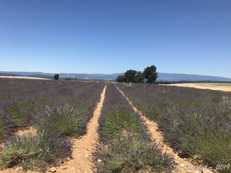 «Что-то пошло не так» – автотрип по Европе-2019, вопреки обстоятельствам.