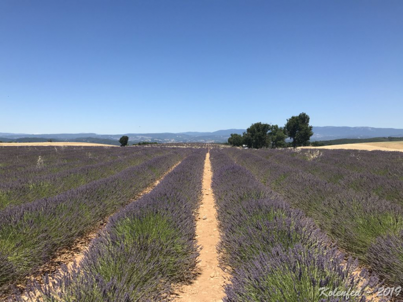 «Что-то пошло не так» – автотрип по Европе-2019, вопреки обстоятельствам.