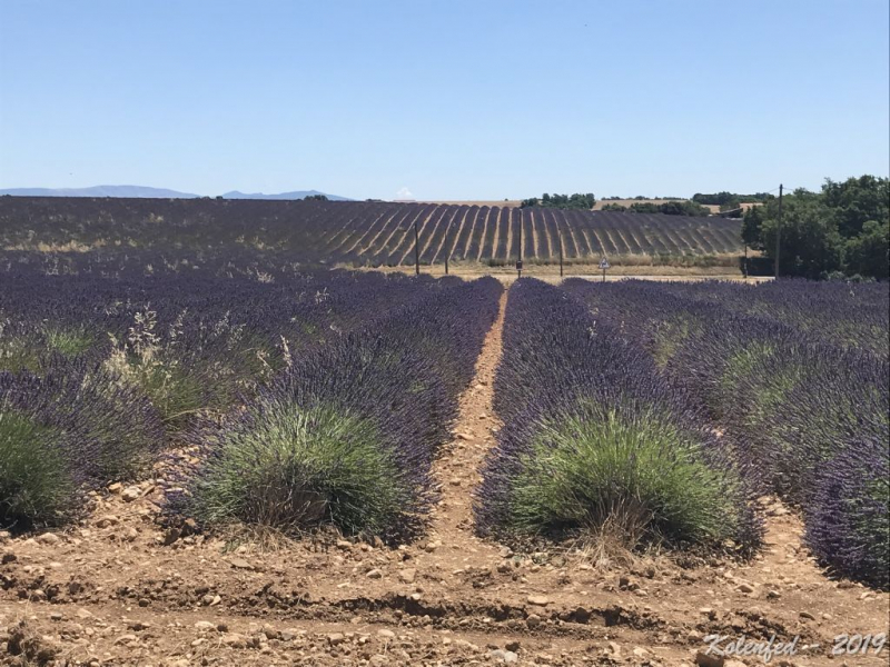 «Что-то пошло не так» – автотрип по Европе-2019, вопреки обстоятельствам.