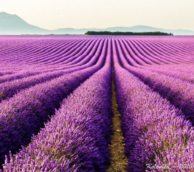 «Что-то пошло не так» – автотрип по Европе-2019, вопреки обстоятельствам.