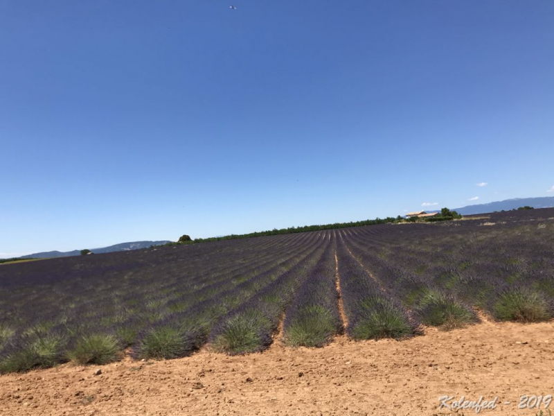 «Что-то пошло не так» – автотрип по Европе-2019, вопреки обстоятельствам.