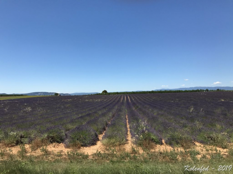 «Что-то пошло не так» – автотрип по Европе-2019, вопреки обстоятельствам.