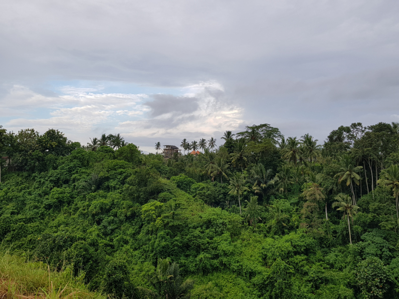 Апрель 2019. 12 дней на Бали с посещением Нуса-Пенида и Гили Траванган
