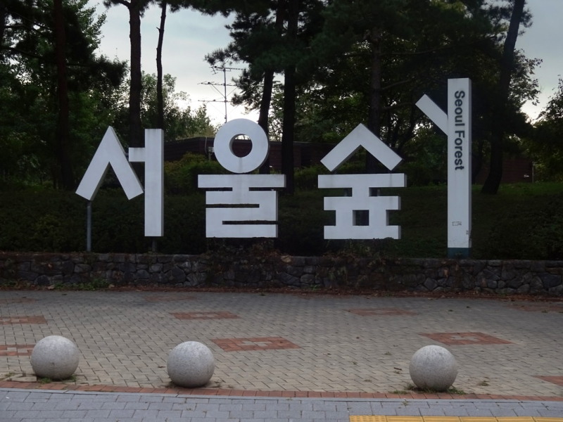 Неделя в Сеуле в октябре 2019