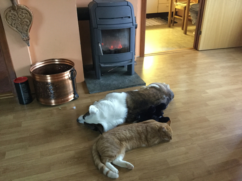 Мистер Чукен’с холлидей