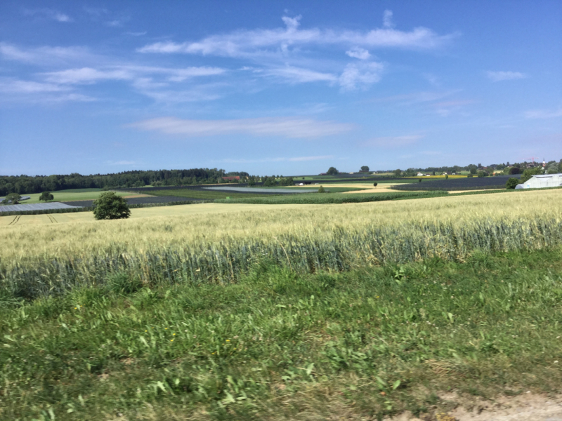 Мистер Чукен’с холлидей