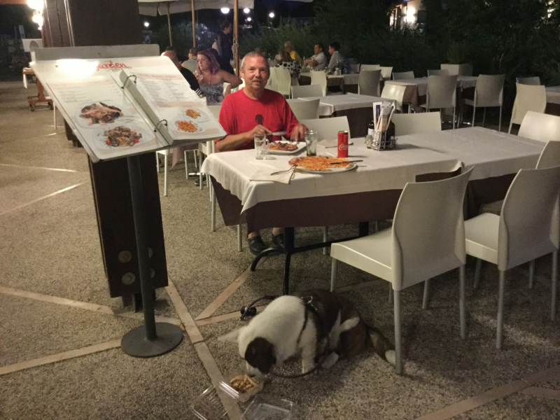 Мистер Чукен’с холлидей