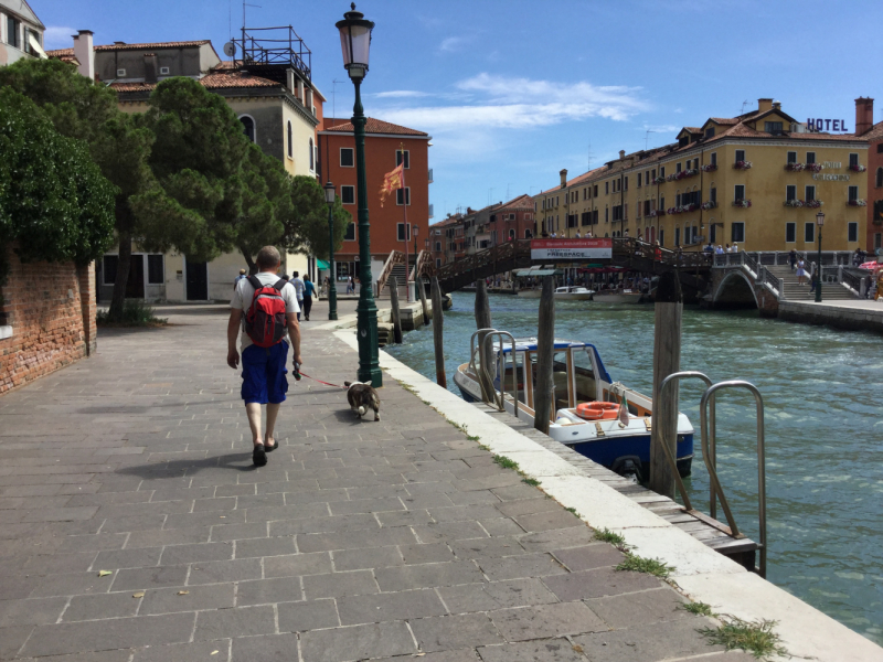 Мистер Чукен’с холлидей