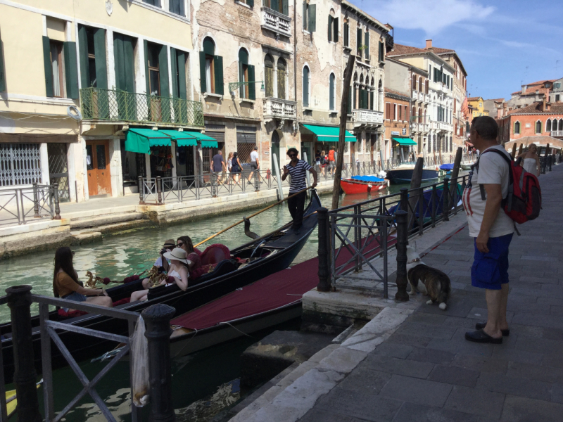 Мистер Чукен’с холлидей