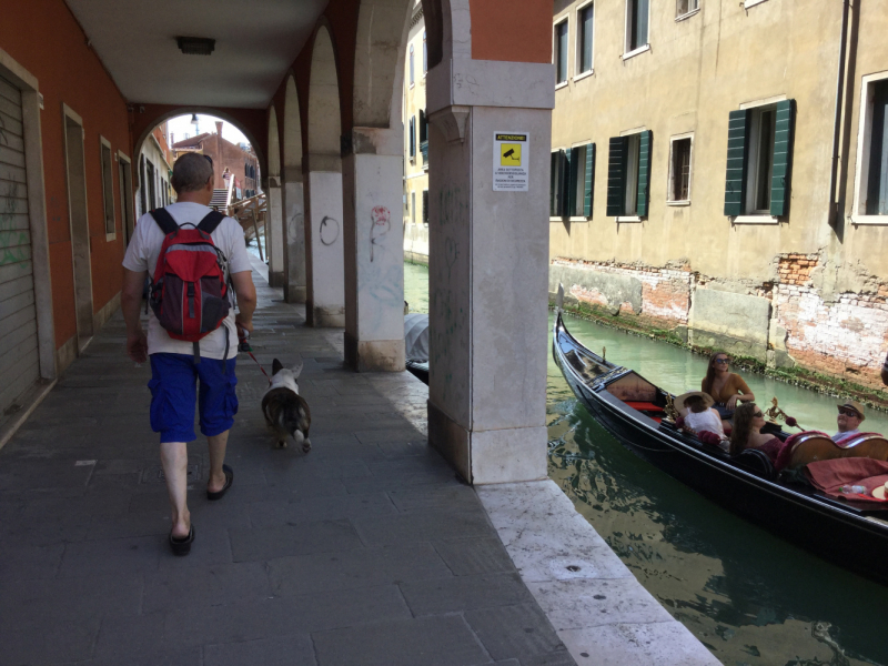 Мистер Чукен’с холлидей